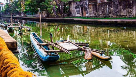 Negombo City : Explore the Fish Market & Dutch Canal by Boat