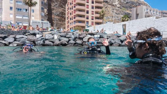 Santa Cruz de Teneriffa: PADI-Schnuppertauchgang