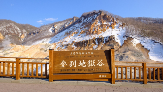 Однодневный тур в Адскую долину Ноборибецу, озеро Тоя и Медвежий ранчо Сёвасинзан на Хоккайдо (зимний сезон)
