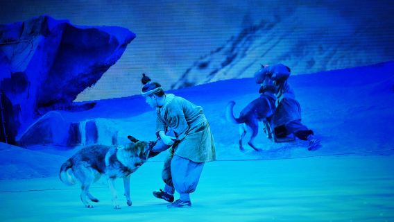 Espectáculo Xi'an Camel Bell Legend + gastronomía local + visita nocturna al Jardín de Lotos Tang + Calle de la Gran Tang que Nunca Duerme