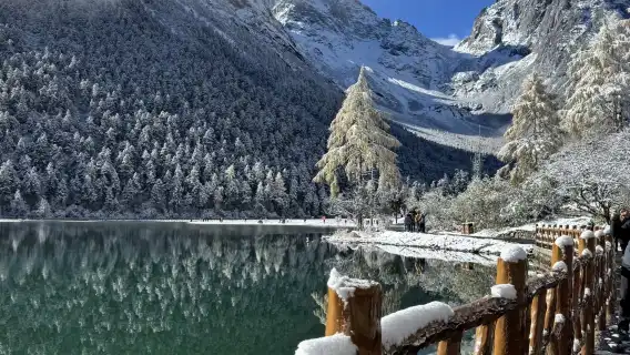 ○ Bipenggou 1-day tour private tour + Nanqiao night view - Car rental service - Explore the natural journey of Western Sichuan