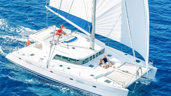 Tour di lusso per snorkeling con i delfini lungo la costa di Kona, Isola Grande delle Hawaii