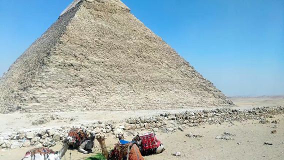 Tour 1 ngày Kim tự tháp Giza và Bảo tàng Ai Cập ở Cairo - Xe riêng và hướng dẫn viên riêng | Chăm sóc Khách hàng trực tuyến