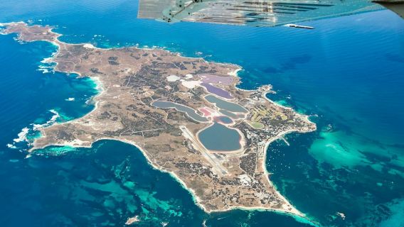 Rottnest Island: lancio in tandem con trasferimento in traghetto