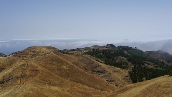 Monte Pavón: escursione guidata di un giorno da Gran Canaria + pranzo al sacco