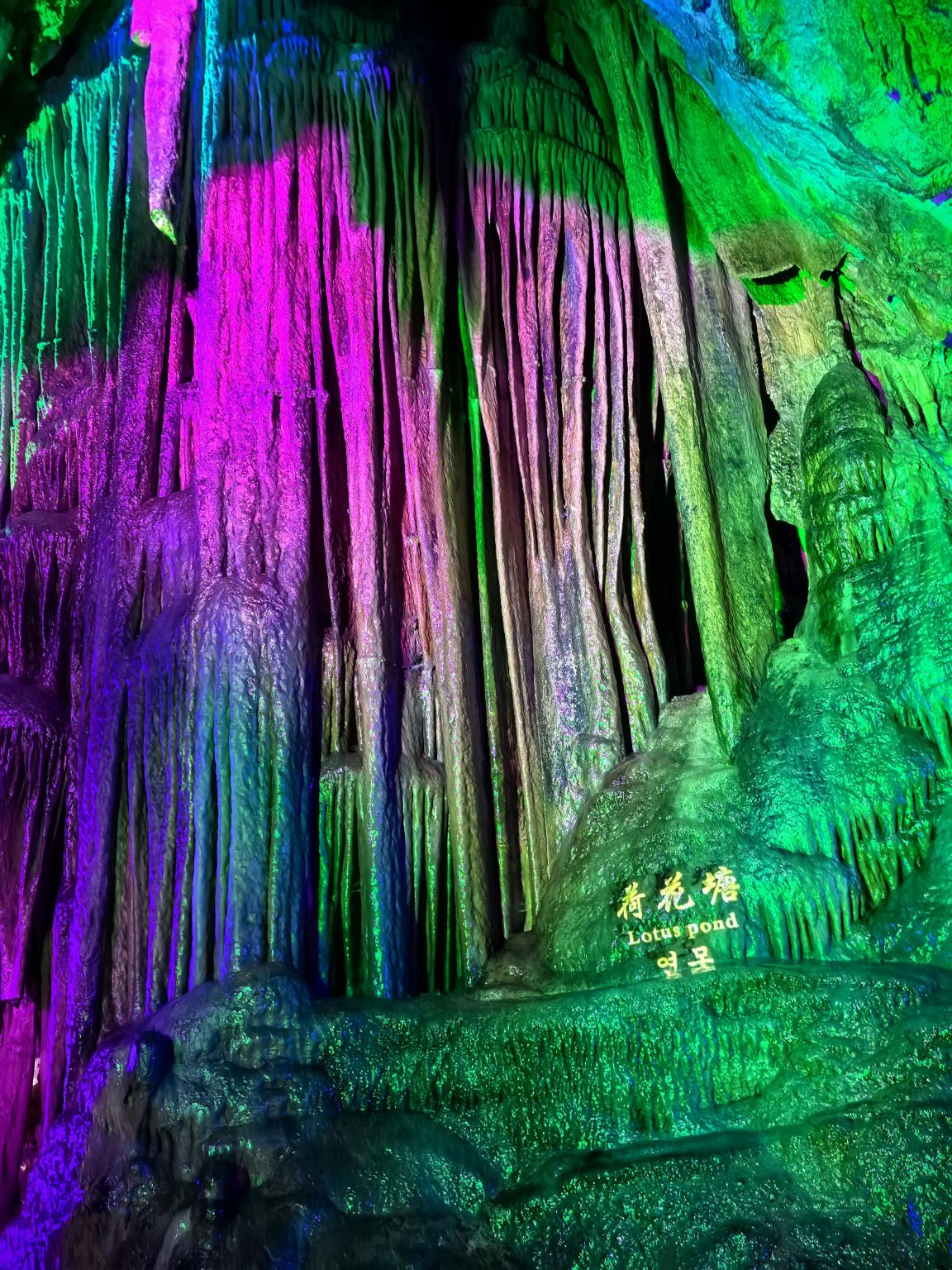 Shaanxi Shangluo Qinling Jiangshan + Zhashui Karst Cave National Geopark Day Tour with English Service