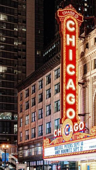 Iconic Action Film and Movie Locations 1 Day Tour in Chicago