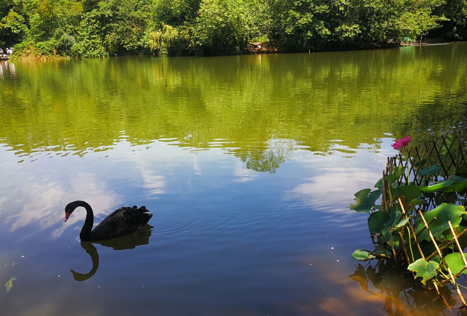 Tour privato con autista di un giorno a Chengdu - Dujiangyan + Monte Qingcheng