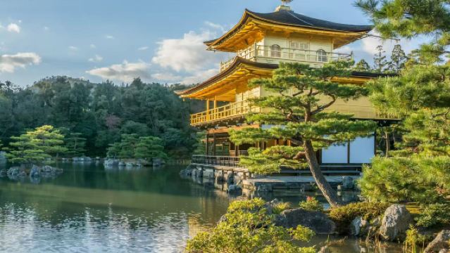 京都來回：比叡山+延歷寺+金閣寺+妙心寺【小眾一日遊包車】