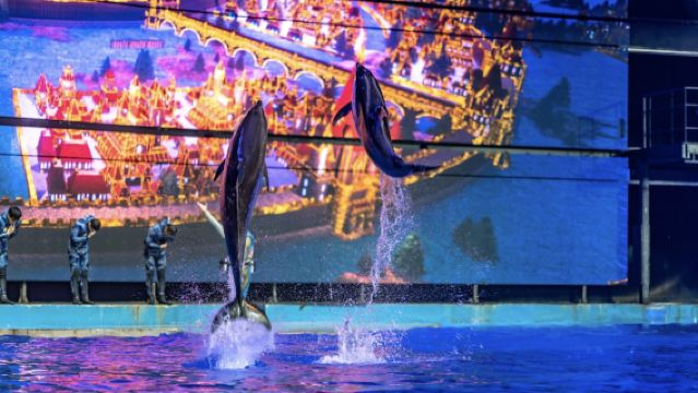 El espectáculo C de Atlantis Sanya (cuento de hadas submarino + romance de sirenas + juego de luces y sombras + banquete legendario)