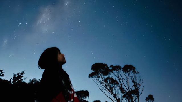 [시드니 출발] 블루마운틴 석양 별보기 투어 & 페더데일 야생동물 공원 (저녁 출발)