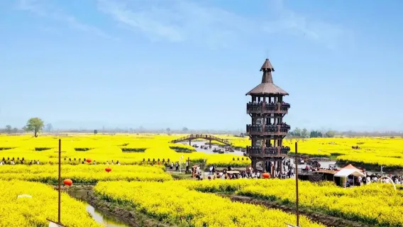 Lawatan sewa peribadi ke Tarikan Pelancongan Ribuan Bedeng Xinghua + Taman Lizhong [Berlepas dari Taizhou, menikmati bunga musim bunga]
