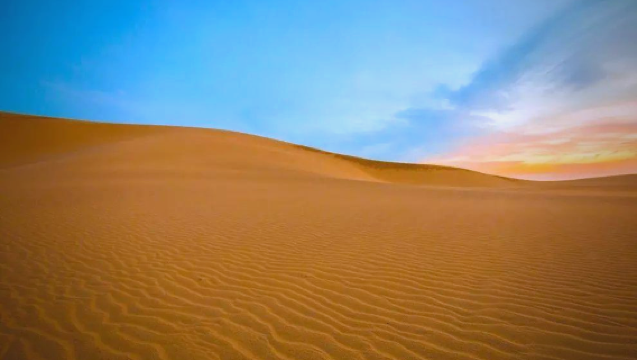 大阪來回鳥取+柯南小鎮一日遊【中文服務/行程可調】