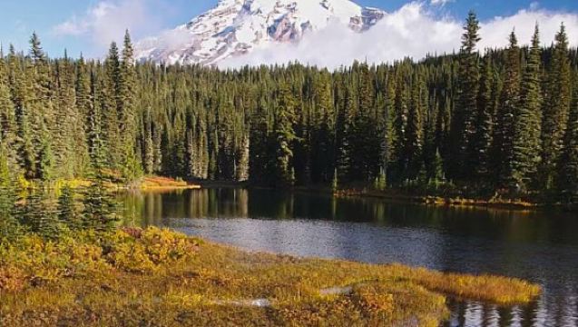 Seattle - Lawatan Sewaan Peribadi Bahasa Cina ke Gunung Rainier + Tasik Cermin + Air Terjun Nashville/Itinerari Boleh Disesuaikan