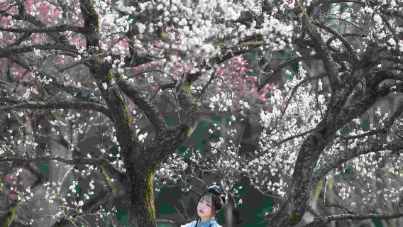 Momen Trip Qidong[Fotografi pemotretan, foto keluarga dan pasangan, video pendek, film promosi, foto pernikahan, semua file mentah diberikan dan diterjemahkan]