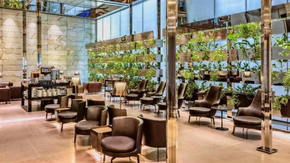 Al Maha Lounge VIP-lounge i södra zonen på Hamad International Airport i Qatar - 4 timmars upplevelse i Doha