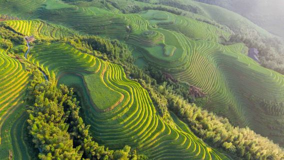 [Vertrek vanaf Guilin] Longji rijstterrassen & Ping‘an Zhuang dorp dagtocht: Privé auto