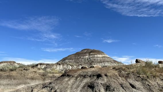 加拿大卡爾加里-恐龍荒地德拉姆黑勒惡地一日遊【市區接駁】