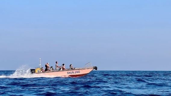 私家小團｜巽寮灣情人島趕海+海釣+捕魚+落日燒烤煙花半日遊