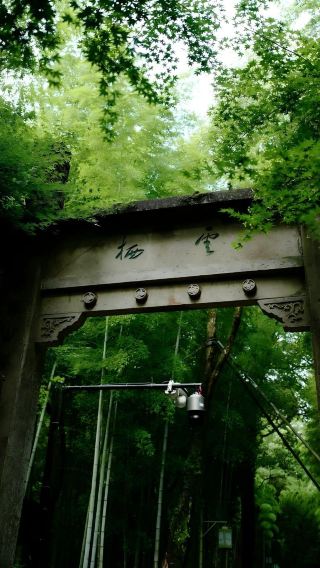 Hangzhou Bamboo-Lined Path at Yunqi + Langdang Mountain hiking + Meijiawu tea picking, roasting and tasting 1-day tour