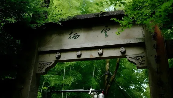Hangzhou - Excursión de un día: sendero de bambú Yunqi + caminata por Shili Langdang + recolección y elaboración de té en Meijiawu con cata