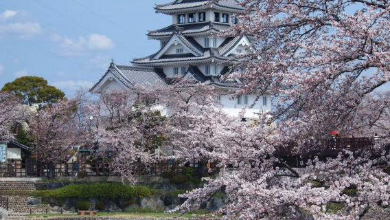 日本名古屋+久屋大通公園+電視塔+大須商業街一日遊【包車】
