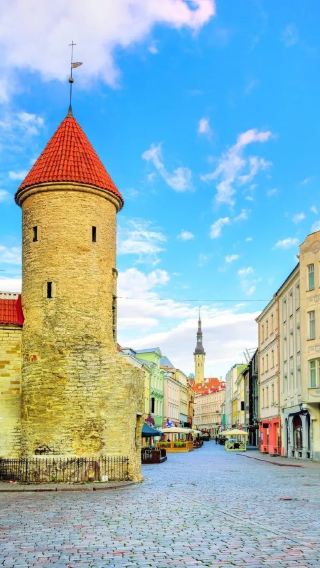Private chartered tour in Tallinn, Estonia: Vanalinn + Rummu underwater quarry ※ Itinerary can be customized