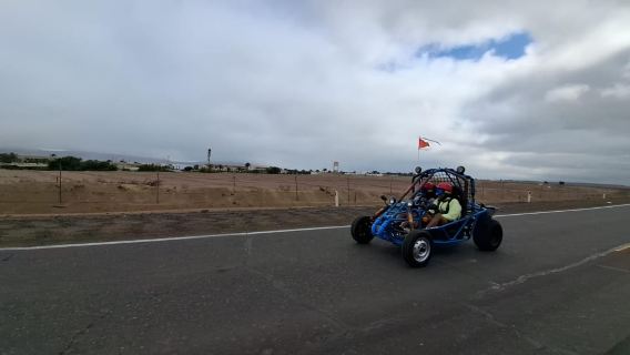Paracas: Ballestas Islands Boat Tour & Mini Buggy Ride