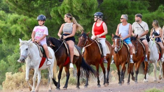 Fethiye: Horseback Safari w/ Pine Forest Ride & Kayakoy View