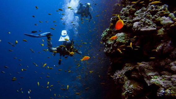 Alanya: Scuba Diving for Beginners & Certified Divers