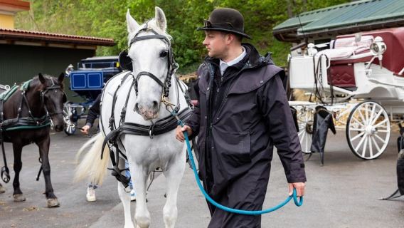Vienna: Secrets of the Fiaker & Horse-Drawn Carriage Ride