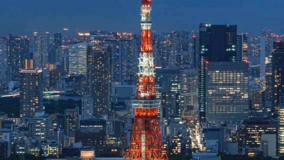 Tokyo tour giornaliero [itinerario personalizzabile] [autista e guida privati]