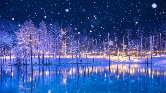 Hokkaido verlichting eendaagse tour Forest Elf Terrace · Blauwe Vijver · Kerstboom · Witte Baard | Optionele sneeuwscooterexperience