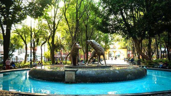 Coyoacan