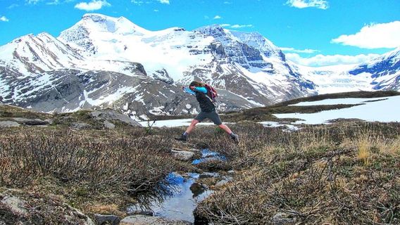 BanffTours