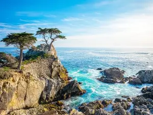 BEST 17-Mile Drive, Carmel and Monterey Day Trip 