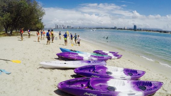 Australian Kayaking Adventures: 2-hour kayaking at Gold Coast Broadwater + snorkeling at Wave Break Island