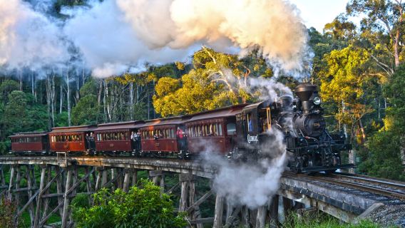 Tour giornaliero in treno a vapore a Melbourne con prelievo dall'hotel, gruppo di qualità e mancia inclusa
