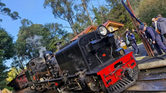 Tour di mezza giornata sul treno a vapore Puffing Billy a Melbourne [Tour in inglese, nessuna mancia, trasferimento dal centro]