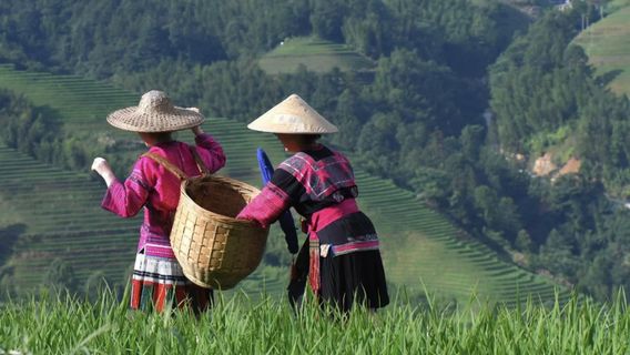 Long ThắngTour Trong Ngày