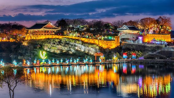 Esclusiva autunnale: tour di un giorno al festival delle lanterne di Jinju Namgang e al campo di fiori di erba rosa Muhly (partenza da Busan)