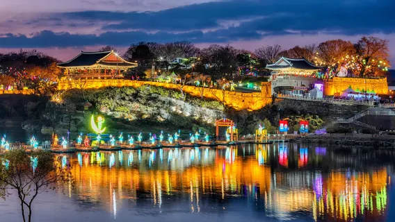 秋季限定：晉州南江流燈節+粉黛亂子草花海一日遊 (釜山出發, 4人成團)