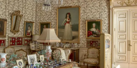 利里亞宮(Palacio de Liria)門票+語音導覽