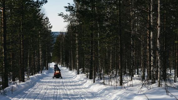 Rovaniemi: Aventura en motos de nieve y pesca en hielo con almuerzo incluido