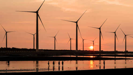 Half-day tour to Gaomei Wetlands and Miyahara Ophthalmology from Taichung