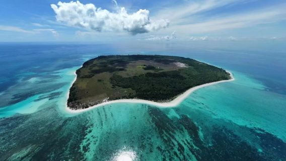 Experiencia de esnórquel en la isla Mengalum|Kota Kinabalu, Sabah