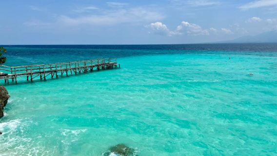 Oslob Whale Shark Watching + Sumilon Island 1-day tour