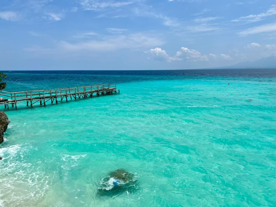 Menyaksikan ikan paus jerung di Oslob, Filipina + lawatan sehari ke Pulau Sumilon