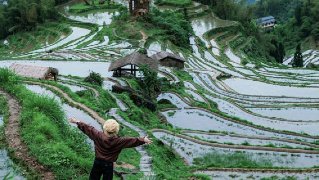 Zhejiang Lishui: Desa Lukisan Guyan + Teres Sawah Yunhe + Qixing Dun + Lembah Perak, tarikan pelancongan boleh disesuaikan