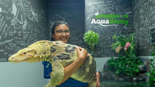 Abu Dhabi Attraction: The National Aquarium Abu Dhabi Day Tours 8